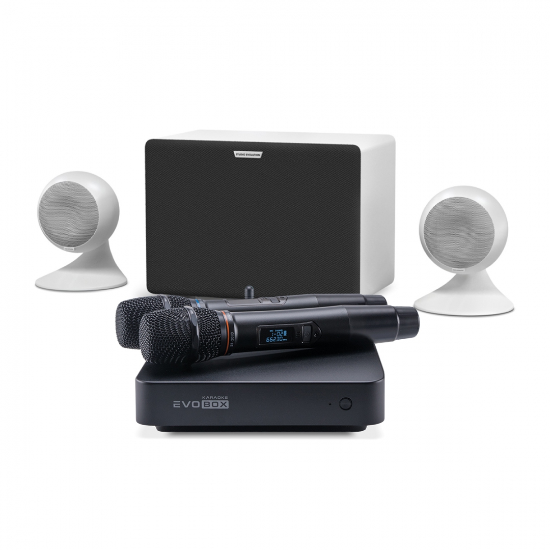 караоке-комплект EVOBOX Classic + EvoSound Sphere 2.1 в Нефтекамске